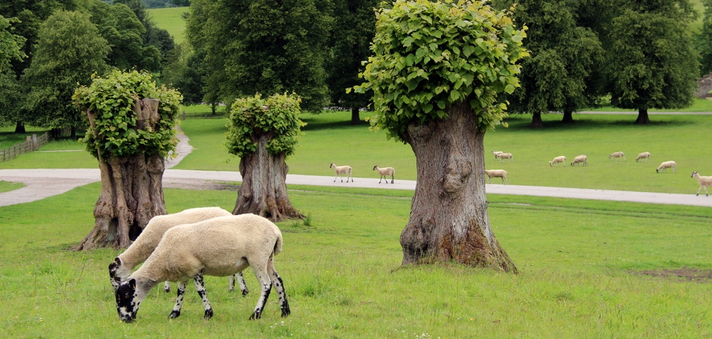 Internal arts in Derbyshire: Tai Chi, Qigong, Ba Gua and Hsing-I