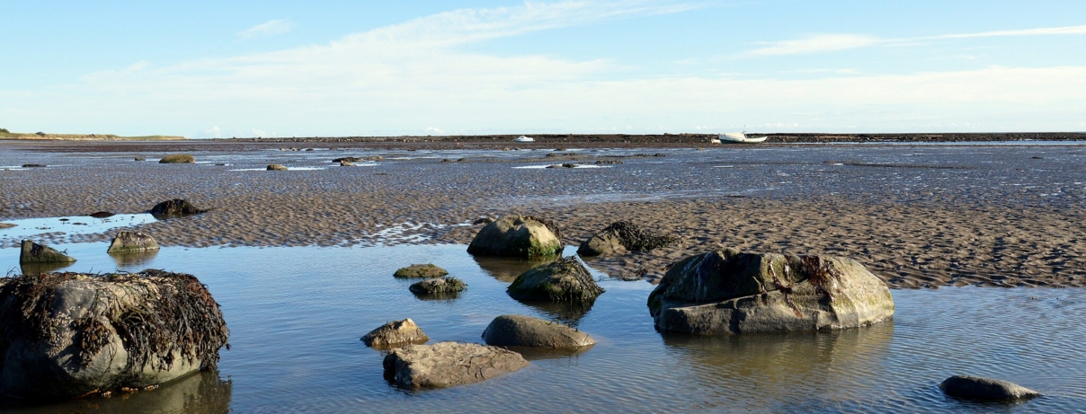 Internal arts in Northumberland: Tai Chi, Qigong, Ba Gua and Hsing-I