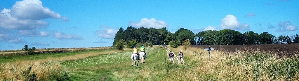 Internal arts in Oxfordshire: Tai Chi, Qigong, Ba Gua and Hsing-I