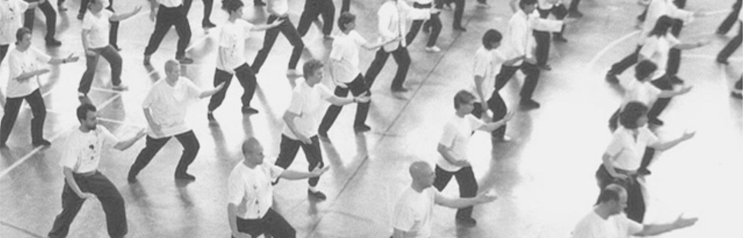 Tai Chi and Qigong classes across the UK by county